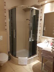 a bathroom with a shower and a toilet and a sink at Willa Zarębek in Łopuszna