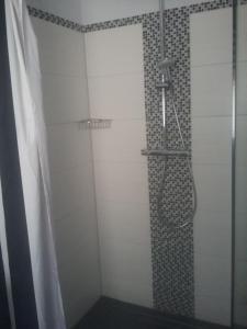 baño con ducha y puerta de cristal en Ferienwohnung Noll en Alzenau in Unterfranken