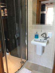 a bathroom with a shower and a sink at Inchrye Bed & Breakfast in Inverness