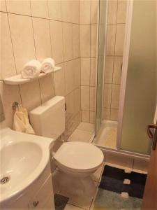 een badkamer met een toilet, een wastafel en een douche bij Countryside Vacation House VITEZ in Babino Polje