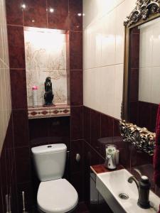 uma casa de banho com um WC, um lavatório e um espelho. em Cracow. Villa Cherubin Garden em Cracóvia