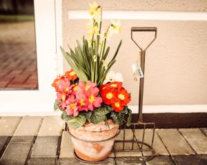 Imagine din galeria proprietății Ballycannon Lodge în Croagh +9 fotografii