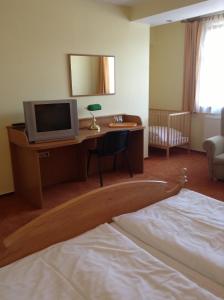 TV a/nebo společenská místnost v ubytování Hotel YORK