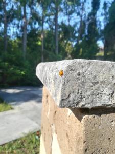 Fotografie z fotogalerie ubytování Apulia Time v Bari
