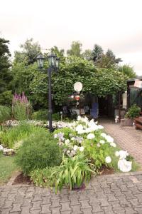 um jardim com flores e uma luz de rua em Ferienwohnung Sauer em Hillscheid