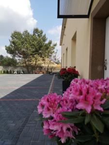 Um ramo de flores cor-de-rosa sentado à porta de um edifício. em noclegi u Adama em Kajetany