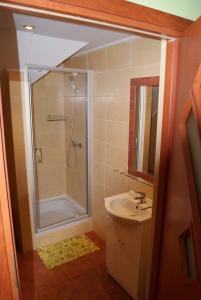 a bathroom with a shower and a sink at Domowe Zacisze in Ustka