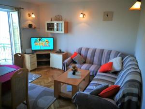 sala de estar con sofá y TV en Countryside Vacation House VITEZ en Babino Polje