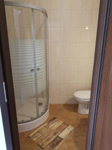 een badkamer met een douche en een toilet bij noclegi u Adama in Kajetany