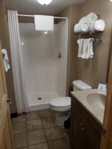 a bathroom with a toilet a sink and a shower at Woodside Dells Hotel & Suites in Wisconsin Dells