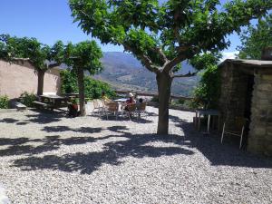 eine Gruppe von Menschen, die an einem Tisch unter einem Baum sitzen in der Unterkunft L'Albadu in Corte