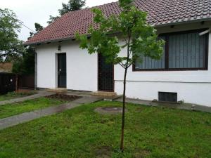 a small tree in front of a white house at Apartman Romy in Pančevo