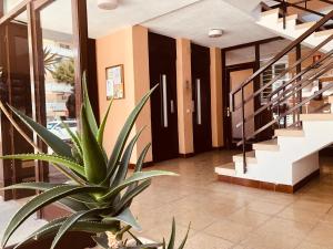 Fotografie z fotogalerie ubytování Cunit Playa v destinaci Cunit