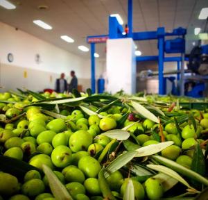 Gallery image of Affittacamere Indios in Cerda