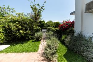 Vonkajšia záhrada v ubytovaní Gaia apartments