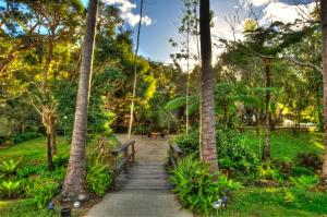 Kebun di luar Broken River Mountain Resort