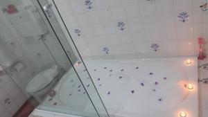 a bathroom with a shower and a tub with a toilet at Chalé pinheiro velho in Monte Verde