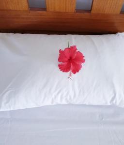 Letto o letti in una camera di Simba House