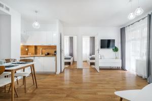 Kuchyňa alebo kuchynka v ubytovaní Gold Apartments Your Holiday Home RODZINNY 3