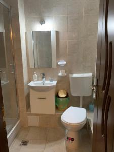 a bathroom with a toilet and a sink and a shower at Casa Galbena in Slănic +51 photos