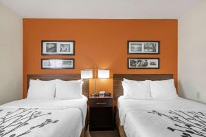 Gallery image of Sleep Inn DeWitt - Lansing North in DeWitt
