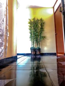 Gallery image of Hotel Hospedaje Virma in Huancayo