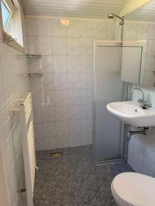 uma casa de banho com um lavatório, um WC e um chuveiro em Huisje Exloo em Exloo