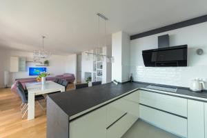 Kuchyň nebo kuchyňský kout v ubytování Penthouse Jure