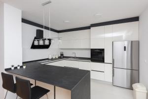 Kuchyň nebo kuchyňský kout v ubytování Penthouse Jure