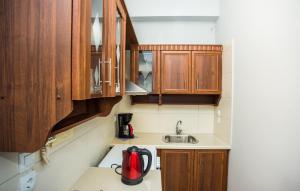 Kuchyňa alebo kuchynka v ubytovaní Xenia Ionis luxury apartments