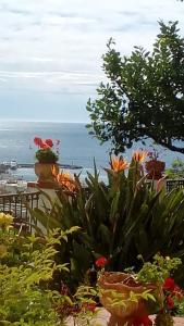 a view of the ocean from a garden with flowers at La Casa Del Sole in Sanremo