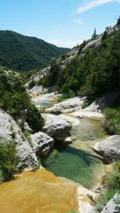 un río con agua verde, rocas y árboles en Casa Juez en Ascaso