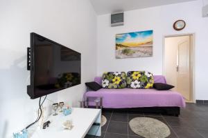 Gallery image of Apartment Puntinak in Selca