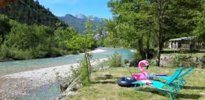 a toy swan and two chairs next to a river at Les Acacias in Vercheny