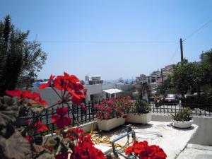 a group of flowers in pots on a fence at Blue Dolphin in Batsi