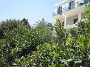 a white building with trees in front of it at Blue Dolphin in Batsi