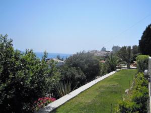 a garden with a view of the ocean at Blue Dolphin in Batsi
