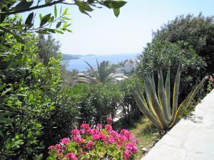 a garden with pink flowers and a cactus at Blue Dolphin in Batsi