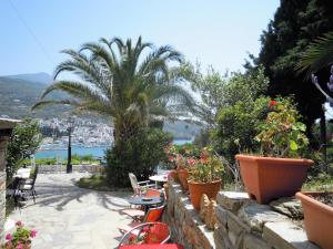 a garden with a palm tree and tables and chairs at Blue Dolphin in Batsi