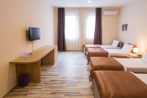 TV a/nebo společenská místnost v ubytování Hotel Hana