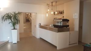 a kitchen with a counter and a plant in a room at Hotel Ristorante Il Gabbiano in Cecina