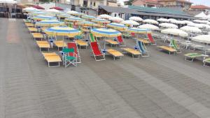a row of chairs and umbrellas on a beach at Hotel Ristorante Il Gabbiano in Cecina