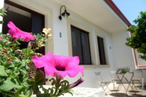 A garden outside Masseria Fagà