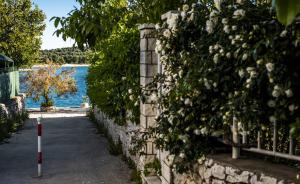 Vonkajšia záhrada v ubytovaní Blue Pearl apartment