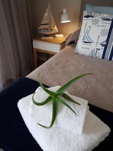 a green plant sitting on top of a bed at Aloe @ the Sea in Mossel Bay