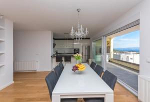Kuchyň nebo kuchyňský kout v ubytování Penthouse Jure