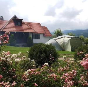 Zahrada ubytování Camp Viljamovka