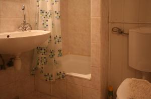een badkamer met een douche, een wastafel en een toilet bij Royal Studio Apartment in Boedapest