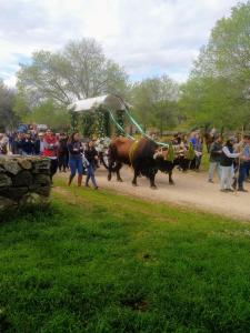 Zvieratá vo vidieckom dome alebo blízkom okolí