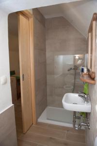 a bathroom with a shower and a sink at Apartment Polane in Blejska Dobrava